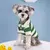 Camisa polo para cães e gatos - Um item para destacar seu melhor amigo! - Outlet Pet