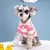 Camisa polo para cães e gatos - Um item para destacar seu melhor amigo! - comprar online