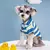 Camisa polo para cães e gatos - Um item para destacar seu melhor amigo! na internet