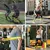FlexBands 5X – by ShapeHome - Um kit. Todas as fases do seu treino. na internet