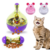 CatSnack Puzzle – Brinquedo Interativo com Comida - comprar online