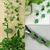 Gruda Verde – Clipes Invisíveis para Plantas na Parede - comprar online