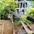 Imagem do GardenSnip – Tesoura Profissional para Poda de Frutas e Plantas