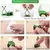 Gruda Verde – Clipes Invisíveis para Plantas na Parede - comprar online