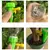 Gota Fácil – Sistema Automático de Rega para Plantas - comprar online