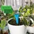 Gota Fácil – Sistema Automático de Rega para Plantas na internet