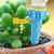 Gota Fácil – Sistema Automático de Rega para Plantas - comprar online