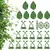 Imagem do Gruda Verde – Clipes Invisíveis para Plantas na Parede