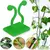 Gruda Verde – Clipes Invisíveis para Plantas na Parede - Tramposo