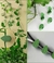 🌿 Jardinagem Inteligente – Cuide das Plantas Sem Sofrência