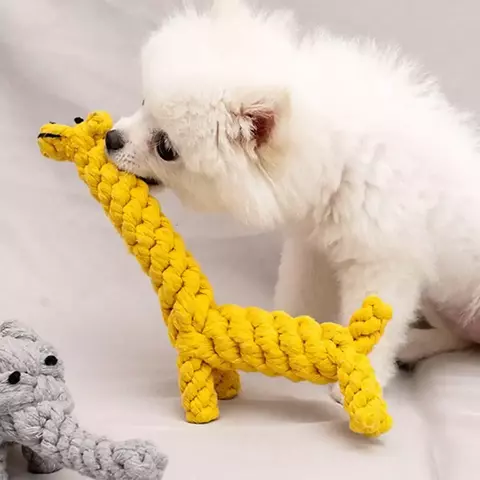Brinquedos de Corda - MimoDog
