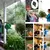 Gancho Retrátil Ajustável para Plantas - GreenGrip - loja online