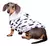 Imagen de Buzo Dalmata