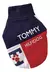 Buzo Tommy - comprar online