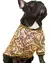 Buzo Barroco - tienda online
