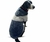 Buzo Adidog soft - Planeta Mascota PET SHOP