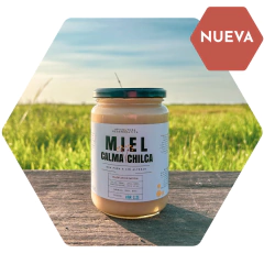 Miel Multiflor Cremosa 1 kg - comprar online