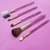 BROCHAS GLITTER X5 en internet