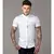 Camisa lisa Masculina Manga curta Praia Social Slim Havaiana Barata ,Tecido e Vi - comprar online