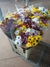 Misto Especial - Steltenpool Flores