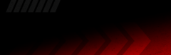 Banner de la categoría Dunlop