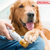 Lixador Elétrico PetCare – Aparador de Unhas Silencioso e Seguro para Cães e Gatos na internet