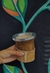 mate rústico