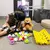 Conjunto Montessori de Ovinhos Educativos - loja online
