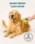 MAGIC BRUSH CON VAPOR - PUNTO PETS