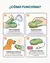 MAGIC BRUSH CON VAPOR - PUNTO PETS en internet