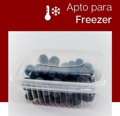 Imagen de Bandeja 103 Descartable Tapa Bisagra 750cc Caja X 240 Uni
