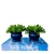 Kit livro p/ decorar porta objetos + dupla vaso azul decor