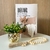 Livro caixa decorativo, vaso dourado abacaxi e colar madeira - comprar online