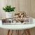 Livro caixa decorativo, vaso branco e miniatura pantera - comprar online