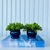 Kit livro p/ decorar porta objetos + dupla vaso azul decor na internet