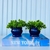 Kit livro p/ decorar porta objetos + dupla vaso azul decor - comprar online