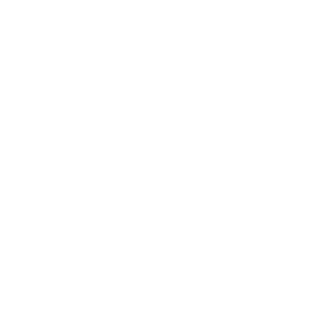 ARCSTORE