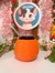 Mate Charmander en internet