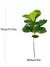 Imagem do Árvore Ficus Realista