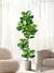 Árvore Ficus Realista - comprar online