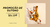 Banner rotativo 2