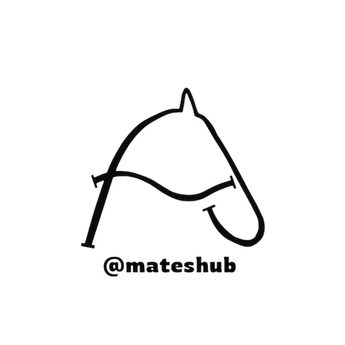 Matesshub