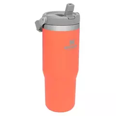 Botella Térmica Stanley Flip Straw 887 ml | Hidratación Duradera y Práctica - Termo Nativo