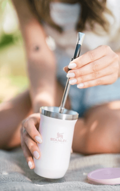 Mate Stanley Terere Mug | 200 ml en internet