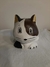 Maceta gato