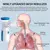 Imagem do Nebulizador de Malha Silencioso Portátil | Inalador para Asma | Adulto e Infantil - Respire melhor em qualquer lugar! O nebulizador portátil de malha ultrassônica é a solução prática e silenciosa para o tratamento de asma, bronquite, rinite e outras doenças respiratórias. Ideal para crianças e adultos, ele oferece nebulização eficiente com partículas finas, garantindo maior absorção do medicamento nos pulmões.