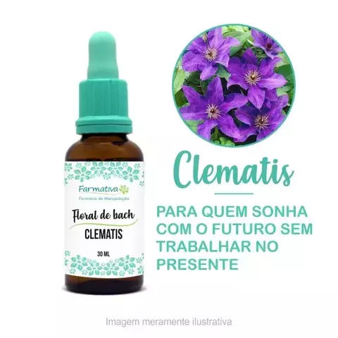 FLORAL DE BACH CLEMATIS 30ML - comprar online