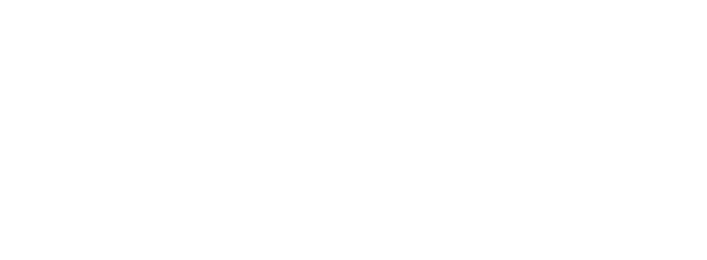 The Room Sneakers