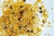 250 GR Granola Orann - comprar online