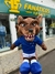 Imagem do Raposão de Pelúcia Cruzeiro Mascote Oficial